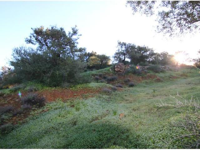 Local Comercial en venta en Sierra de las Nieves, Andalucía