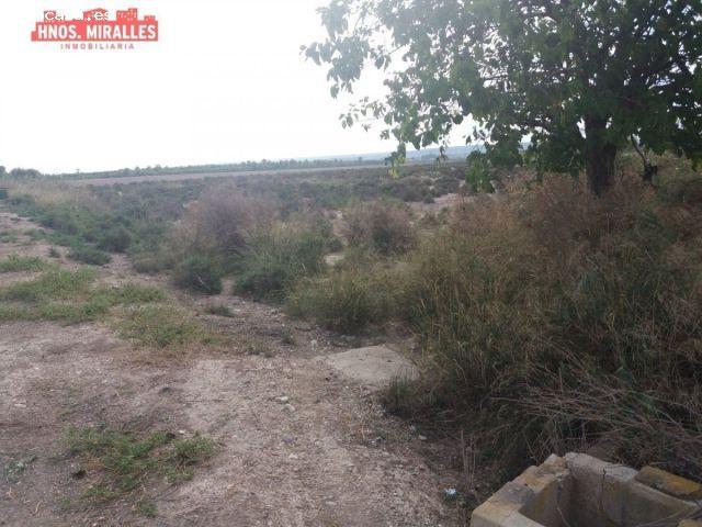 Local Comercial en venta en el Baix Segura / La Vega Baja, Valencia