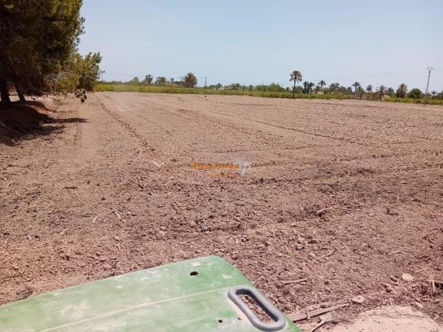 Terreno en venta en la Foia, el Baix Vinalopó