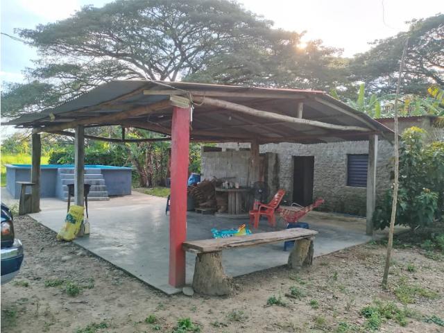 Finca en venta en Boconoíto, Portuguesa