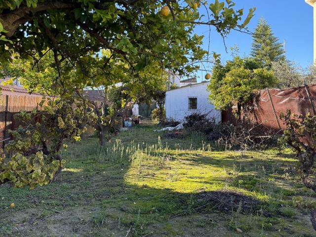 Terreno en venta en Salteras, Andalucía