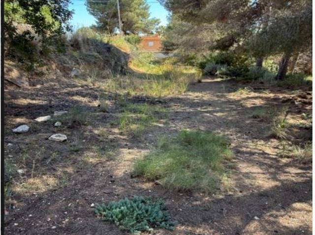 Local Comercial en venta en el Baladrar-Punta Estrella, la Marina Alta