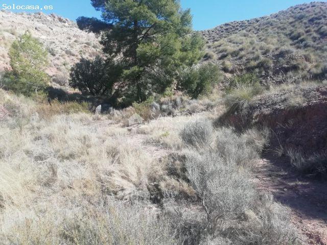 Local Comercial en venta en Macisvenda, Oriental