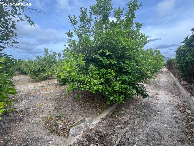 Local Comercial en venta en Lugar de Casillas o Ermita de Buendia, Área Metropolitana de Murcia