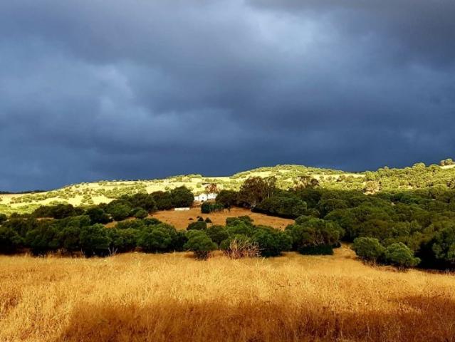 Casa en venta en 28 de Febrero, Campo de Gibraltar