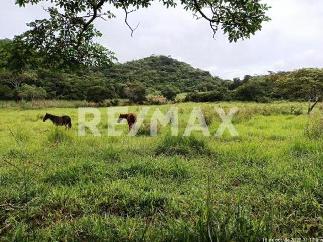 Se vende rancho de 100 hectáreas a tan solo 3.5 Km de la Carretera Federal