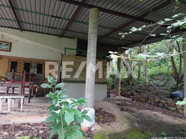 Se vende rancho de 100 hectáreas a tan solo 3.5 Km de la Carretera Federal