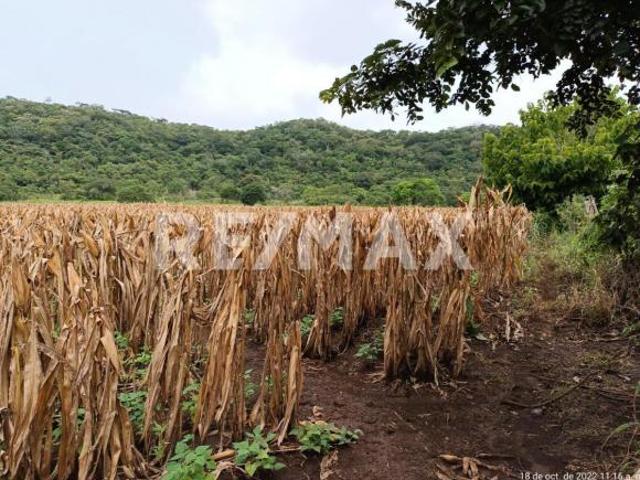 Se vende rancho de 100 hectáreas a tan solo 3.5 Km de la Carretera Federal