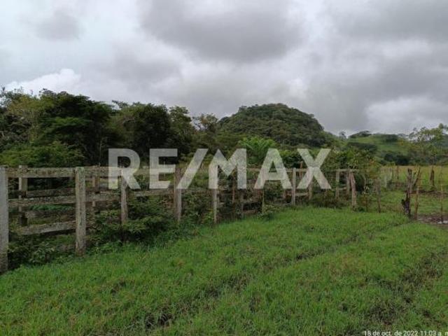 Se vende rancho de 100 hectáreas a tan solo 3.5 Km de la Carretera Federal