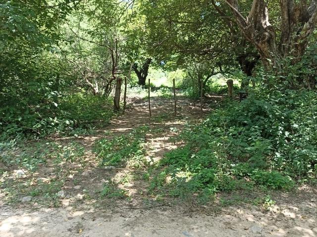 Rancho en venta en Arriaga, Chiapas