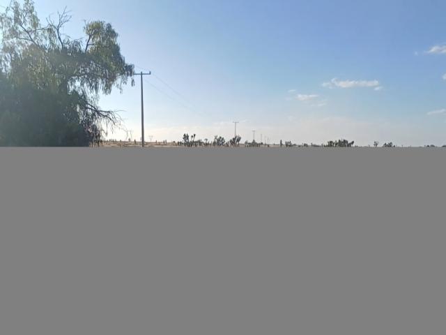 Se vende Rancho en Ojuelos de Jalisco