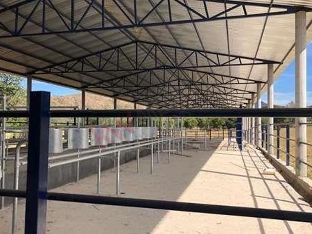 Se vende Rancho en Villaflores, Chiapas. Rancho en 16 de Septiembre 1,400,000 m²