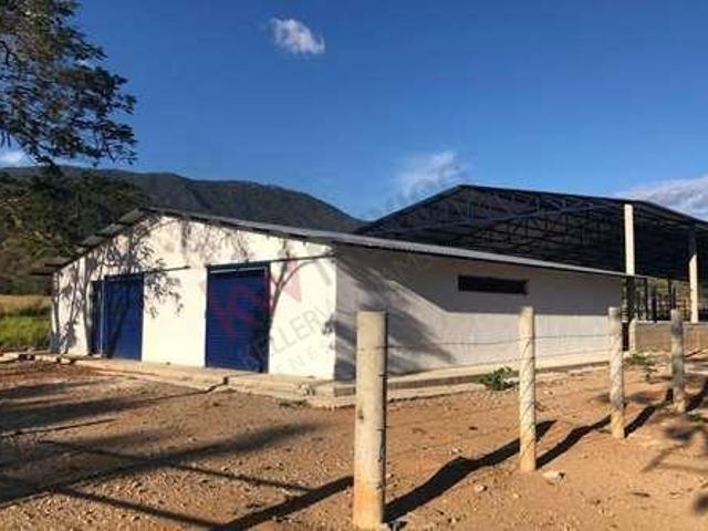 Se vende Rancho en Villaflores, Chiapas. Rancho en 16 de Septiembre 1,400,000 m²