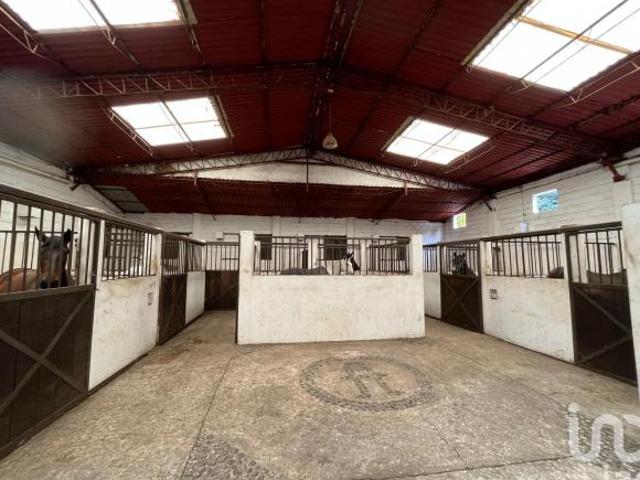 Se vende Rancho Las Castañas  en el Ajusco