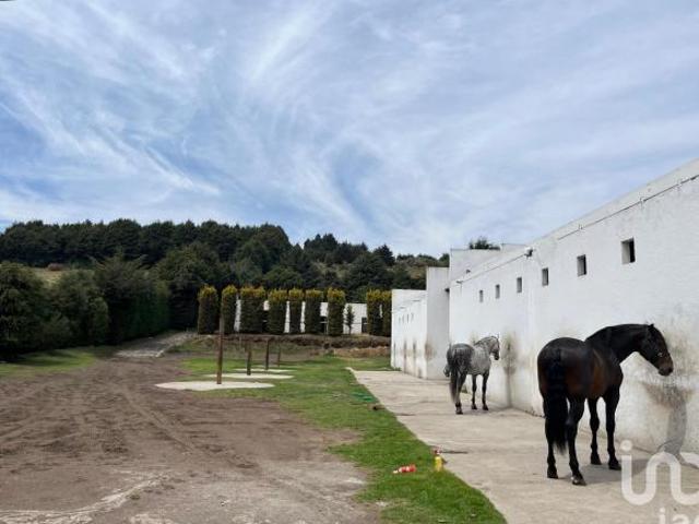 Se vende Rancho Las Castañas  en el Ajusco