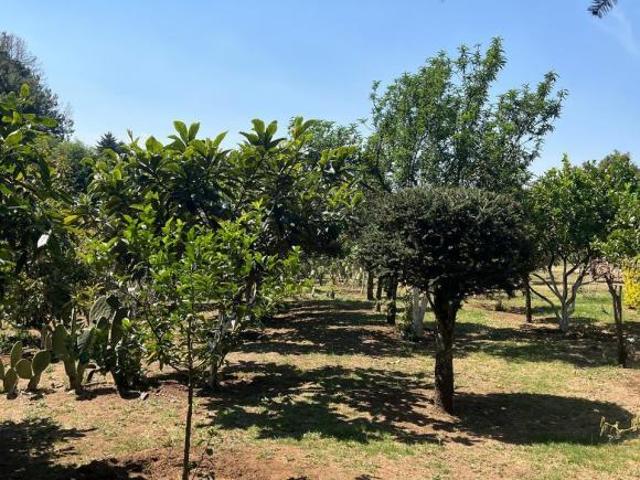 SE VENDE RANCHO LOLA