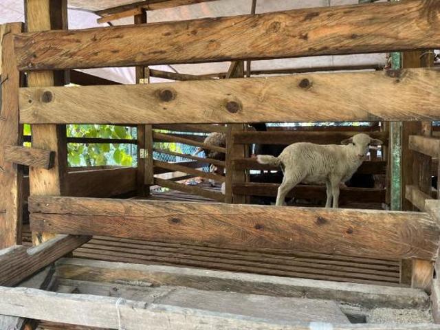 SE VENDE RANCHO LOLA