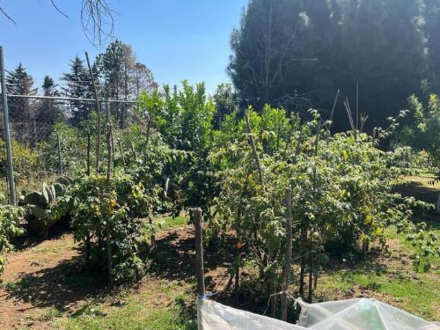 SE VENDE RANCHO LOLA