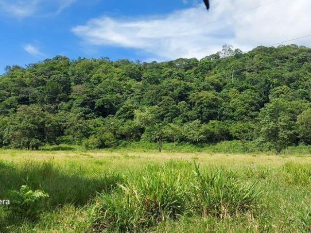 Rancho en venta en Acala, Chiapas