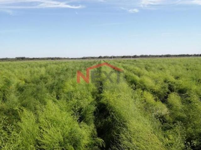 Rancho en venta en Abasolo, Nuevo León