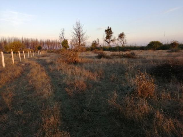 Se vende sitios en Parral