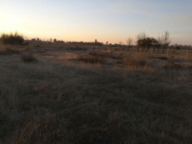Se vende sitios en Parral