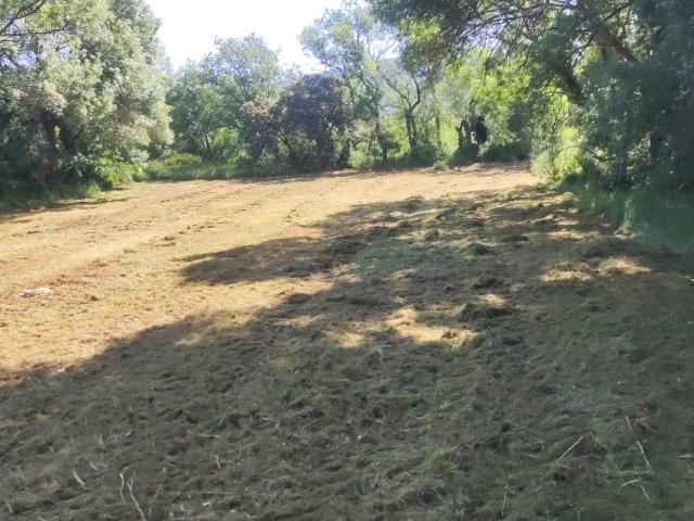 Terreno en venta en Cubillos Del Sil