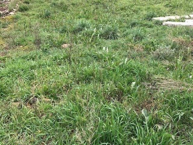 Terreno en venta en Flores del Sil, El Bierzo