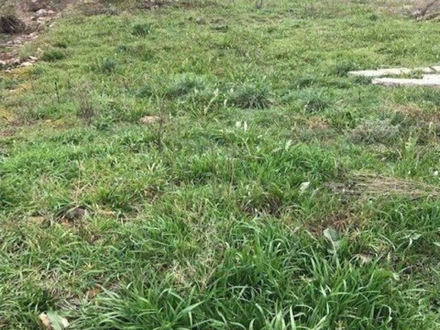 Local Comercial en venta en Almázcara, El Bierzo