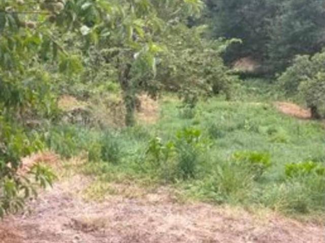 Terreno en venta en Rairo, Ourense
