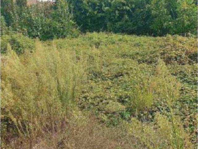 Terreno en venta en Verín, Galicia