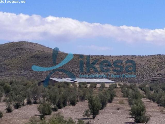 Local Comercial en venta en Gérgal, Andalucía