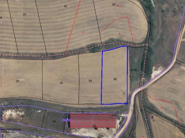 Terreno en venta en Cabrejas Del Pinar, Castilla y León