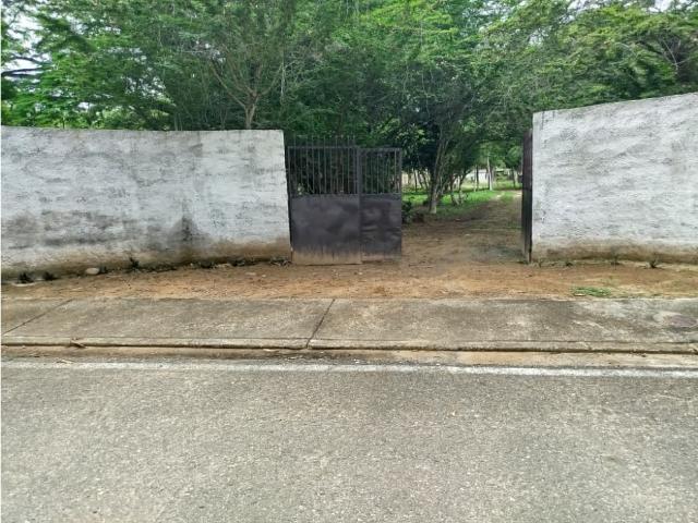 Terreno en venta en Gua, Portuguesa