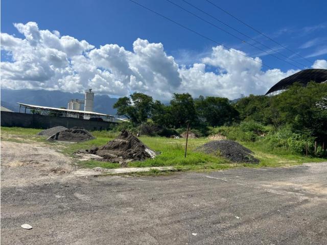 Terreno en venta en Cipriano, Miranda