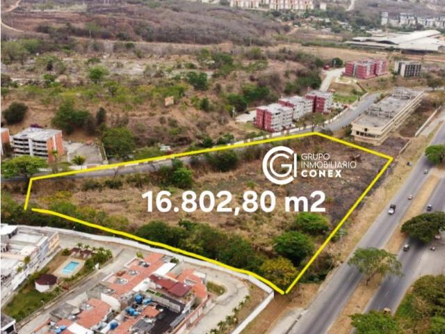 Terreno en venta en Charallave, Miranda