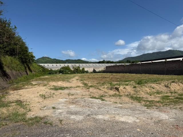 Terreno en venta en Cipriano, Miranda
