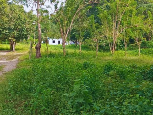 Terreno en venta en El Mogote, Miranda