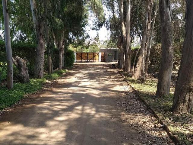 TERRENO 2,501 m2 en zona exclusiva Condominio Pachacamac