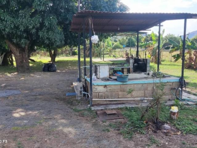 Terreno en venta en Guacara, Carabobo