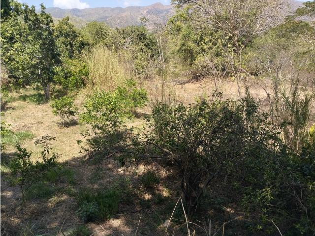 Terreno en venta en Tronconero, Carabobo