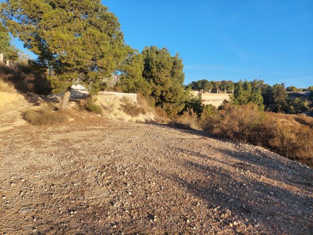 Terreno en venta en el Baix Vinalopó, Valencia