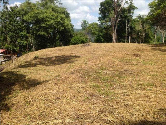 Terreno en venta en Boca De Uchire, Miranda