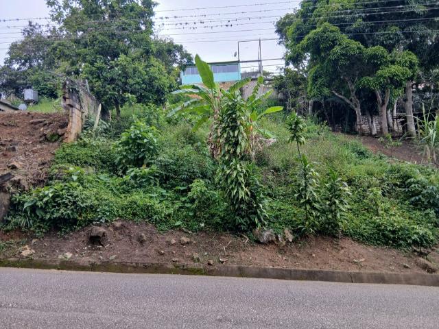Terreno en venta en Teresen, Monagas