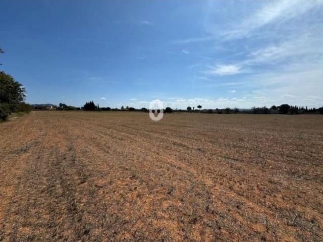 Chalet en venta en Villarrobledo, Castilla-La Mancha