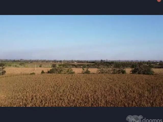 Terreno venta en Pisco