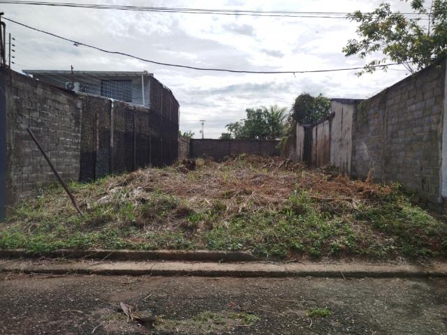 Terreno en venta en Gua, Portuguesa