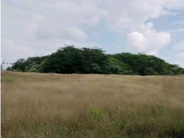 Terreno en venta en Boca De Uchire, Distrito Capital