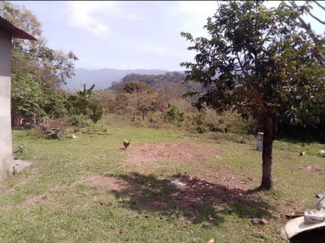 Terreno en venta en Biscucuy, Portuguesa