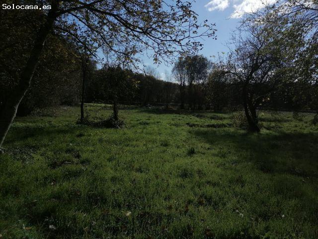 Local Comercial en venta en Terra Chá, Galicia